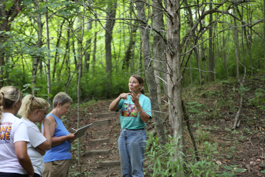 Full Size Image = 4625 K