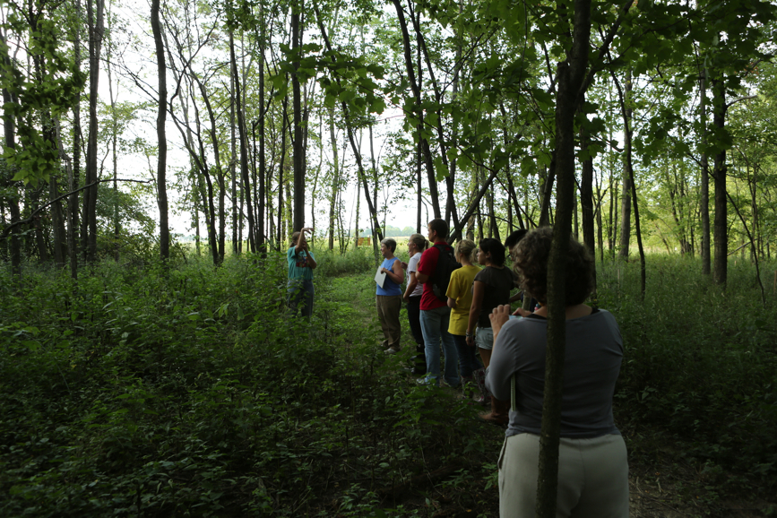 Full Size Image = 6208 K