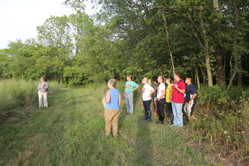 Full Size Image = 7781 K