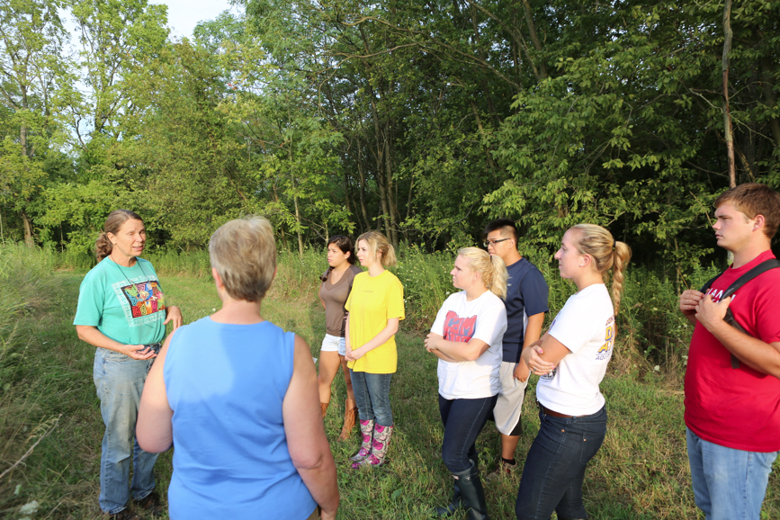 Full Size Image = 6377 K