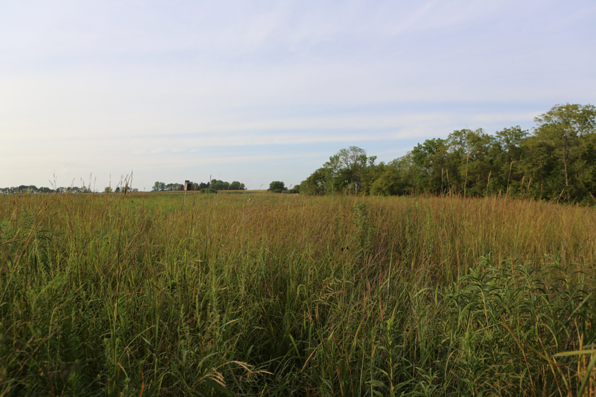 Full Size Image = 4862 K