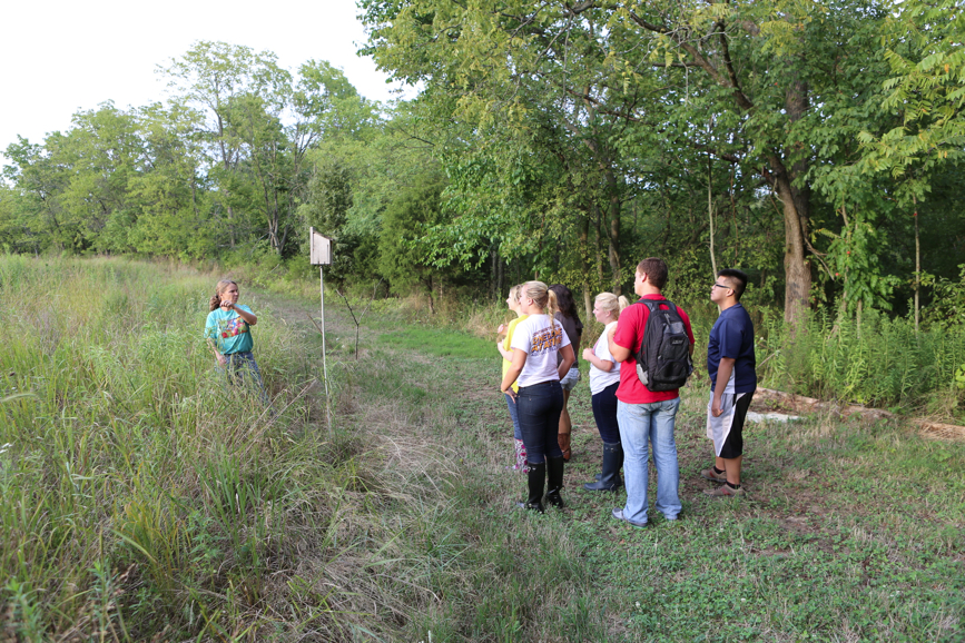 Full Size Image = 7576 K