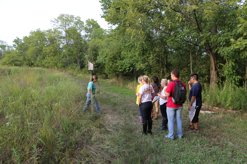 Full Size Image = 7547 K