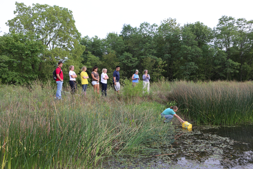 Full Size Image = 6504 K