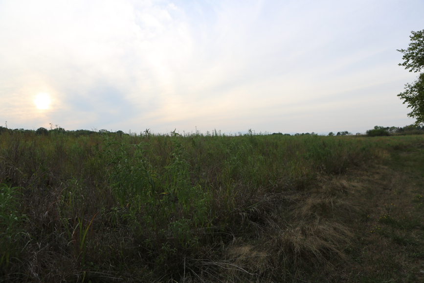 Full Size Image = 3484 K