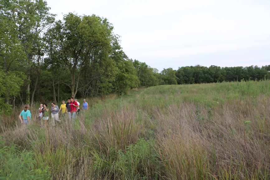 Full Size Image = 5848 K