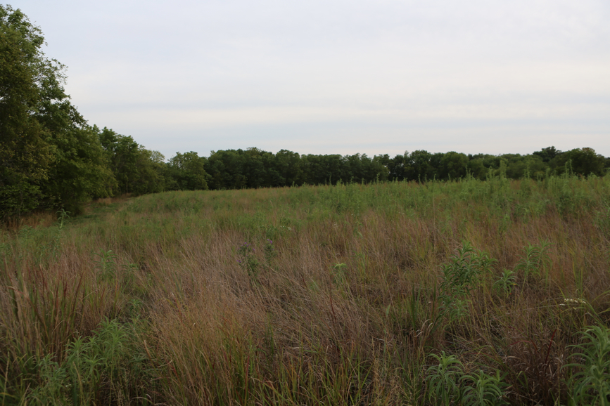 Full Size Image = 4197 K