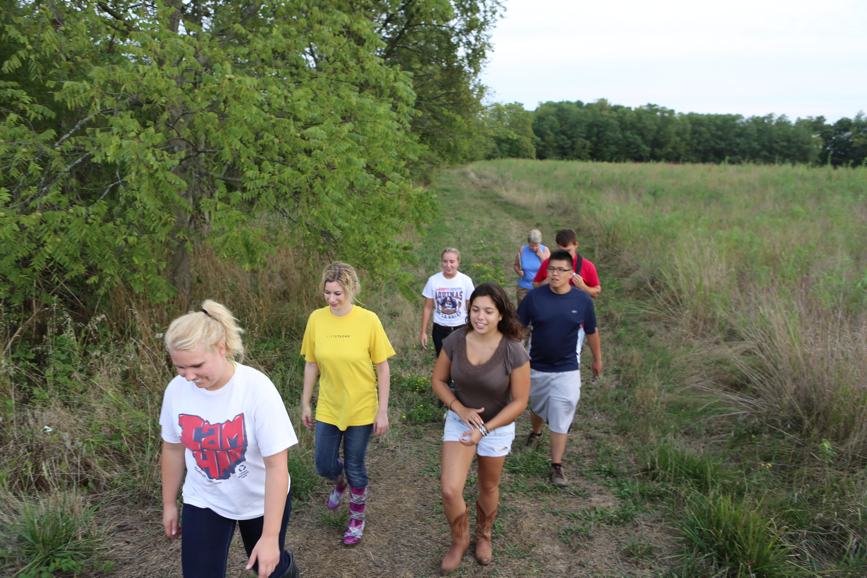 Full Size Image = 4409 K