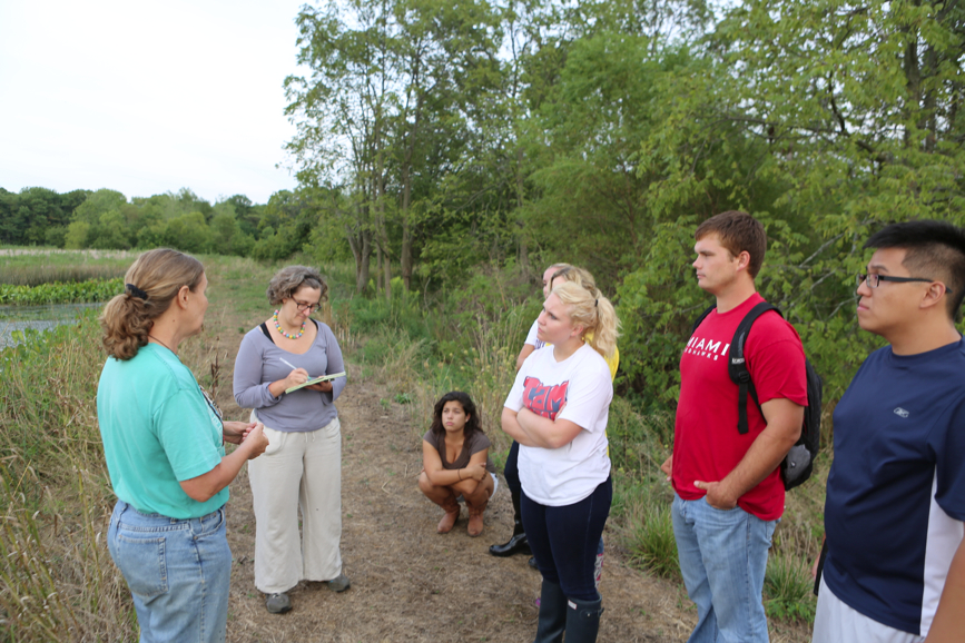 Full Size Image = 4003 K