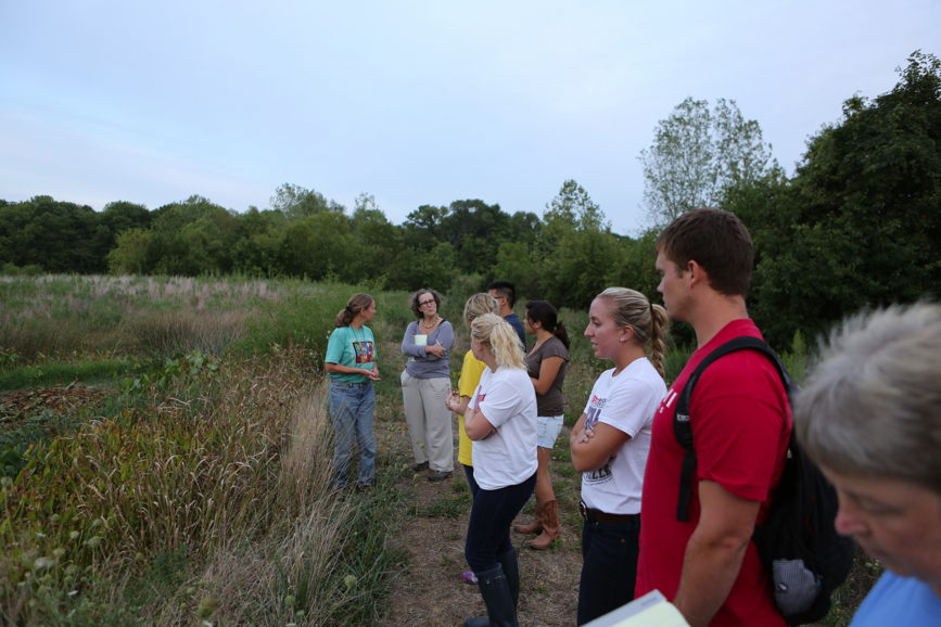 Full Size Image = 4215 K