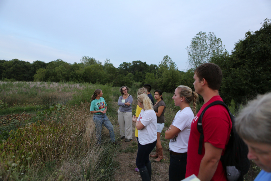 Full Size Image = 4691 K