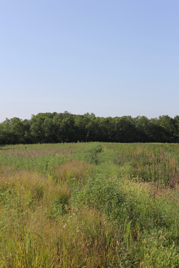 Full Size Image = 4227 K