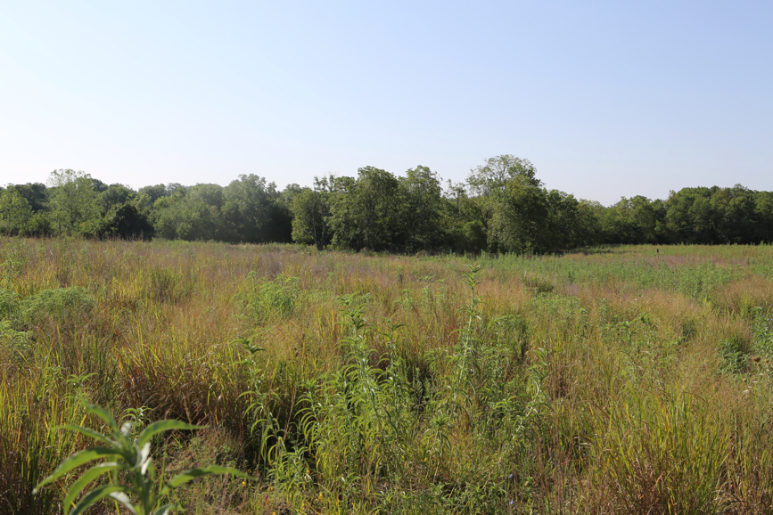 Full Size Image = 6137 K