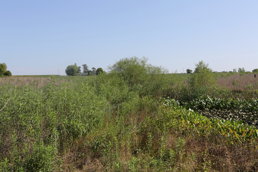 Full Size Image = 6190 K