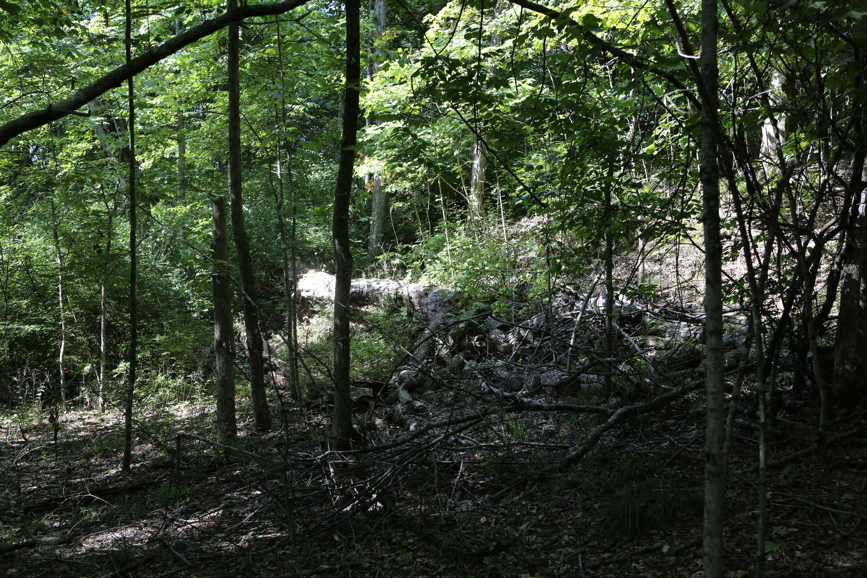 Full Size Image = 7763 K