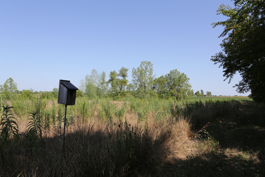 Full Size Image = 5256 K