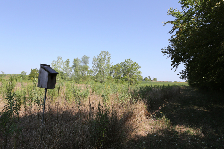 Full Size Image = 5696 K