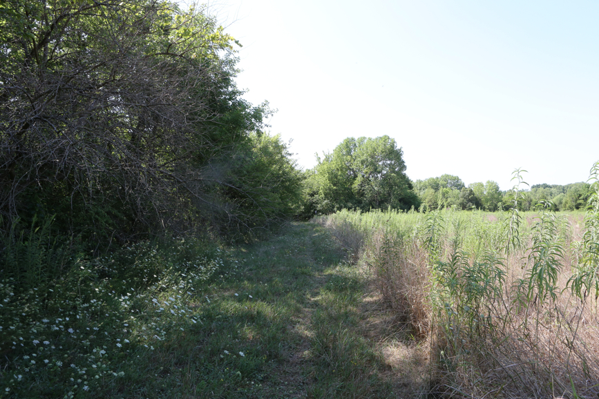 Full Size Image = 6254 K