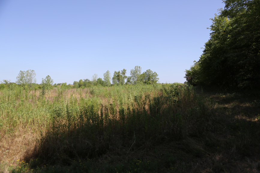 Full Size Image = 3890 K