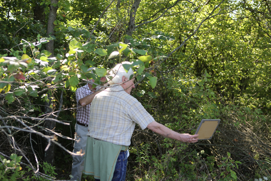 Full Size Image = 6121 K