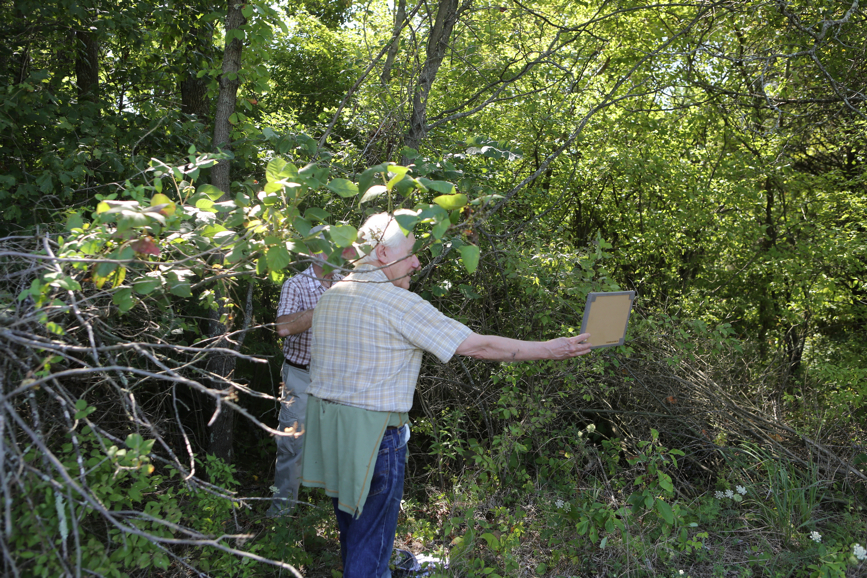 Full Size Image = 7534 K