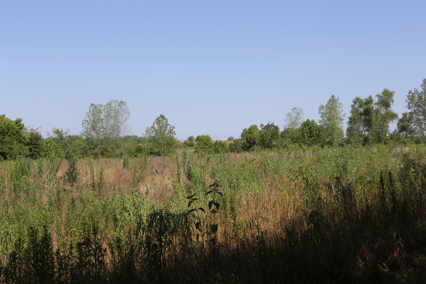 Full Size Image = 5498 K