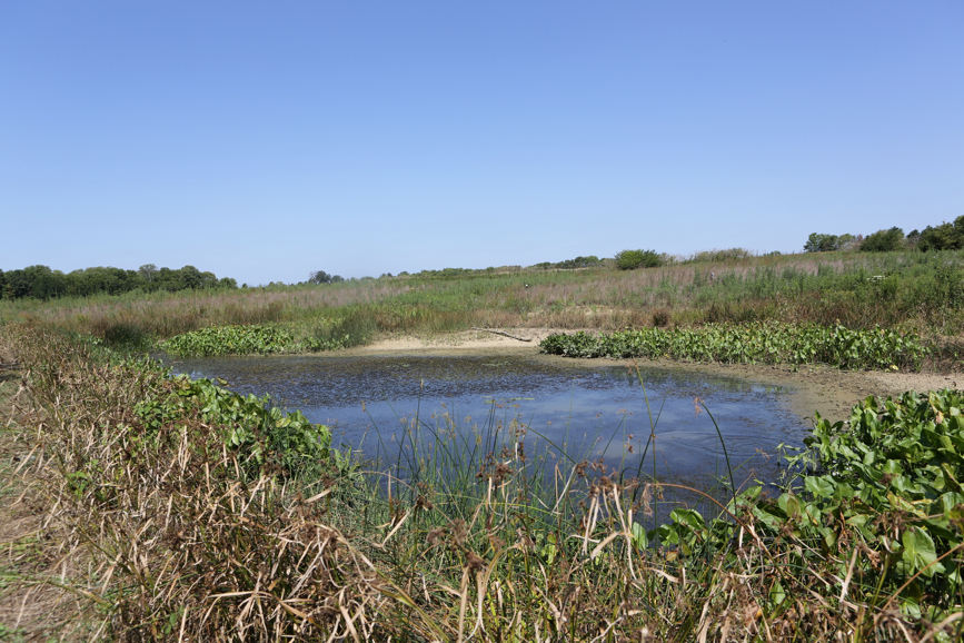 Full Size Image = 5739 K