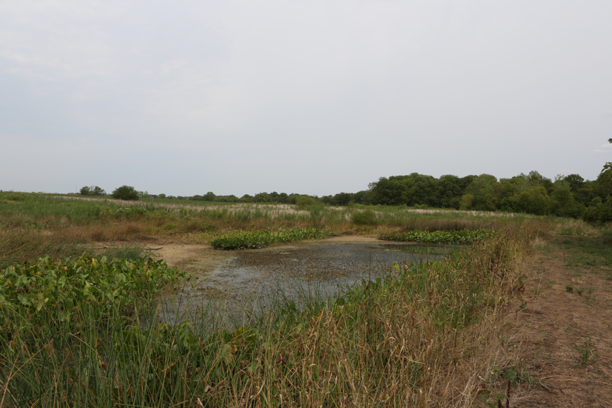 Full Size Image = 4747 K