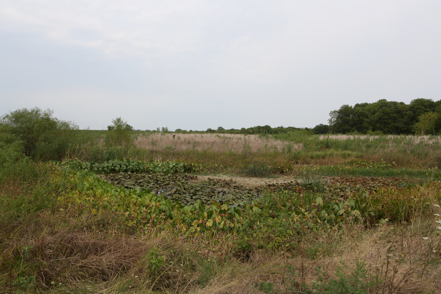 Full Size Image = 5328 K