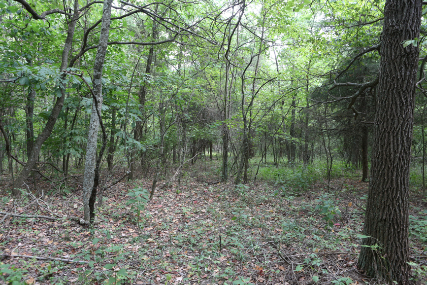 Full Size Image = 8957 K