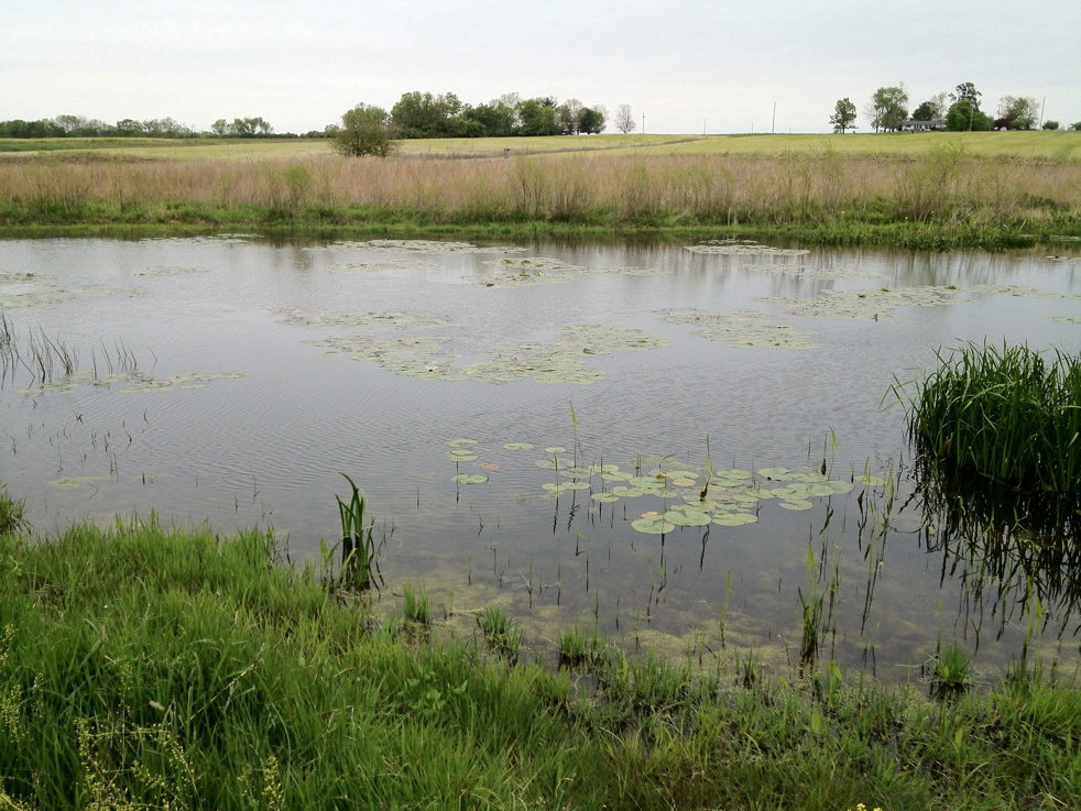 Full Size Image = 6612 K