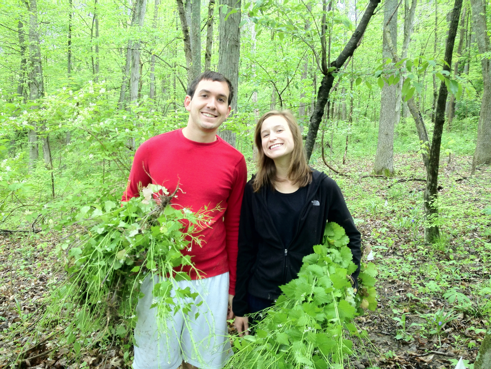 Full Size Image = 9604 K