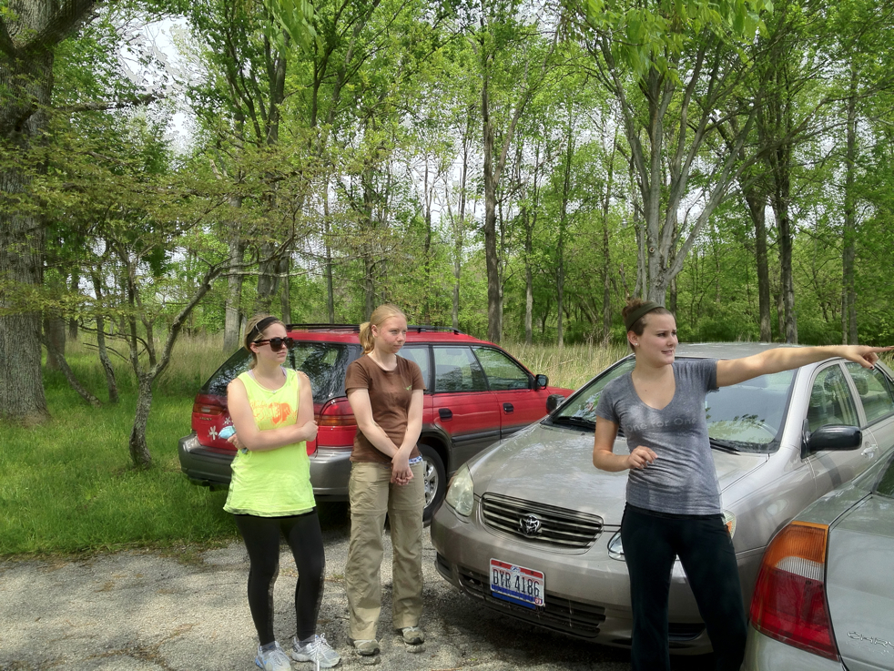 Full Size Image = 8308 K