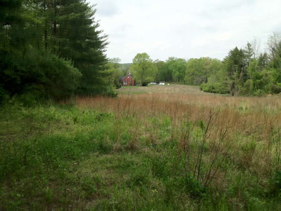 Full Size Image = 5633 K