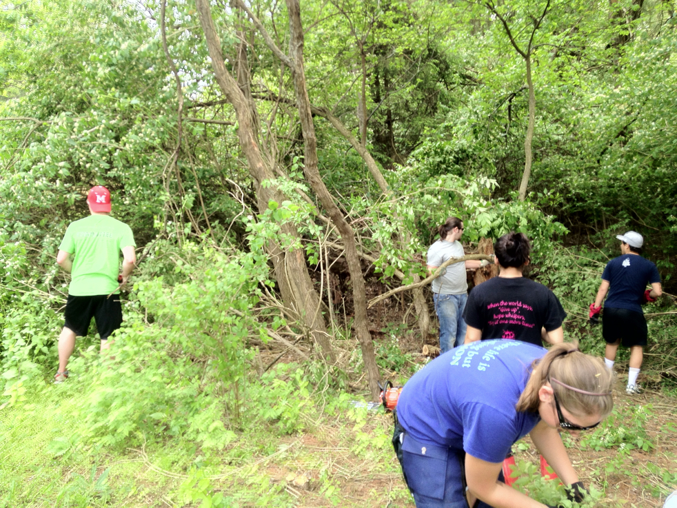 Full Size Image = 8477 K