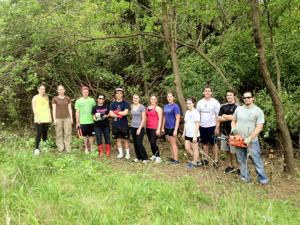 Full Size Image = 9921 K