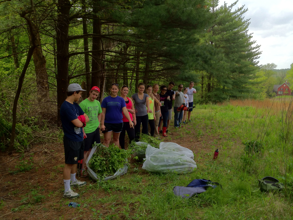 Full Size Image = 8213 K