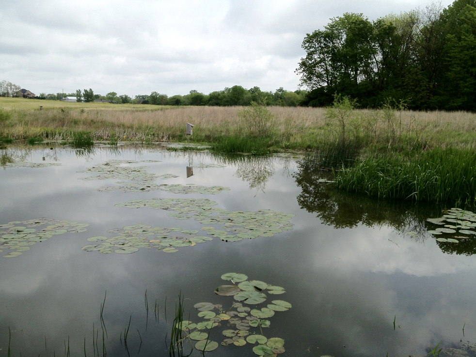 Full Size Image = 5704 K