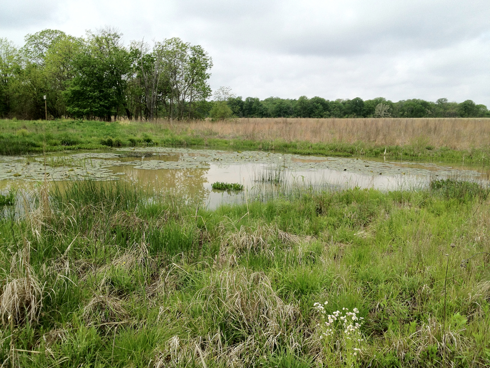 Full Size Image = 9559 K