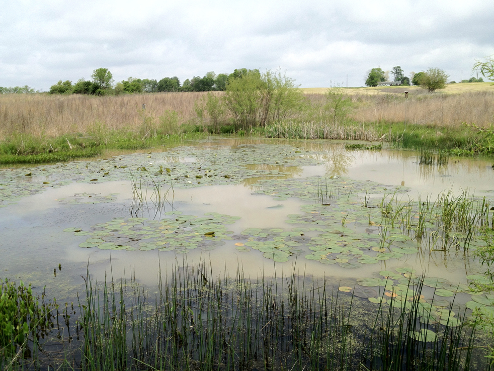 Full Size Image = 7221 K