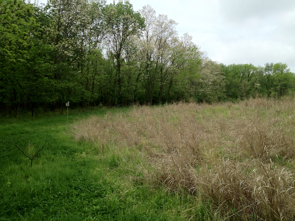 Full Size Image = 8848 K