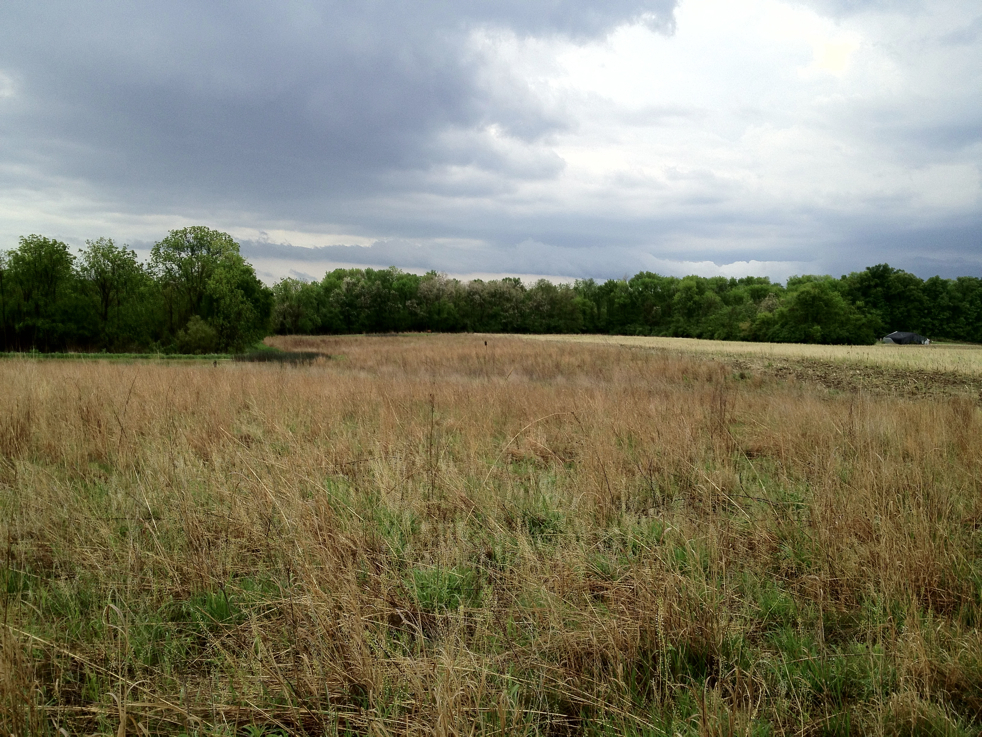 Full Size Image = 7587 K