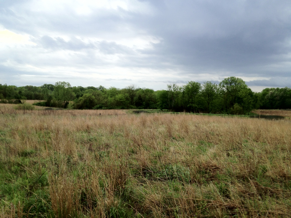 Full Size Image = 6782 K