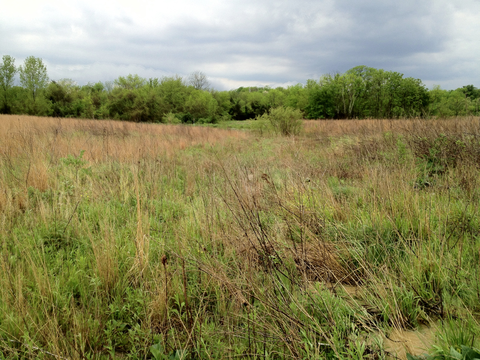 Full Size Image = 9263 K