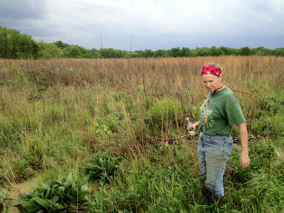 Full Size Image = 9054 K