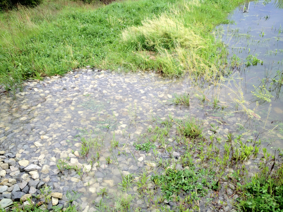 Full Size Image = 8615 K