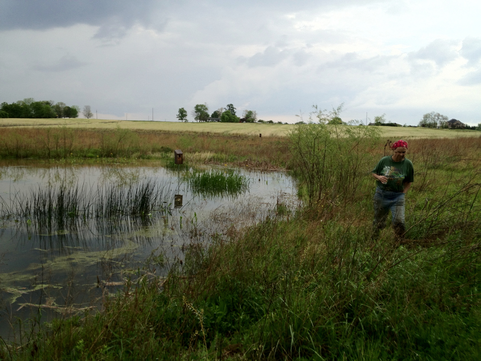 Full Size Image = 5718 K