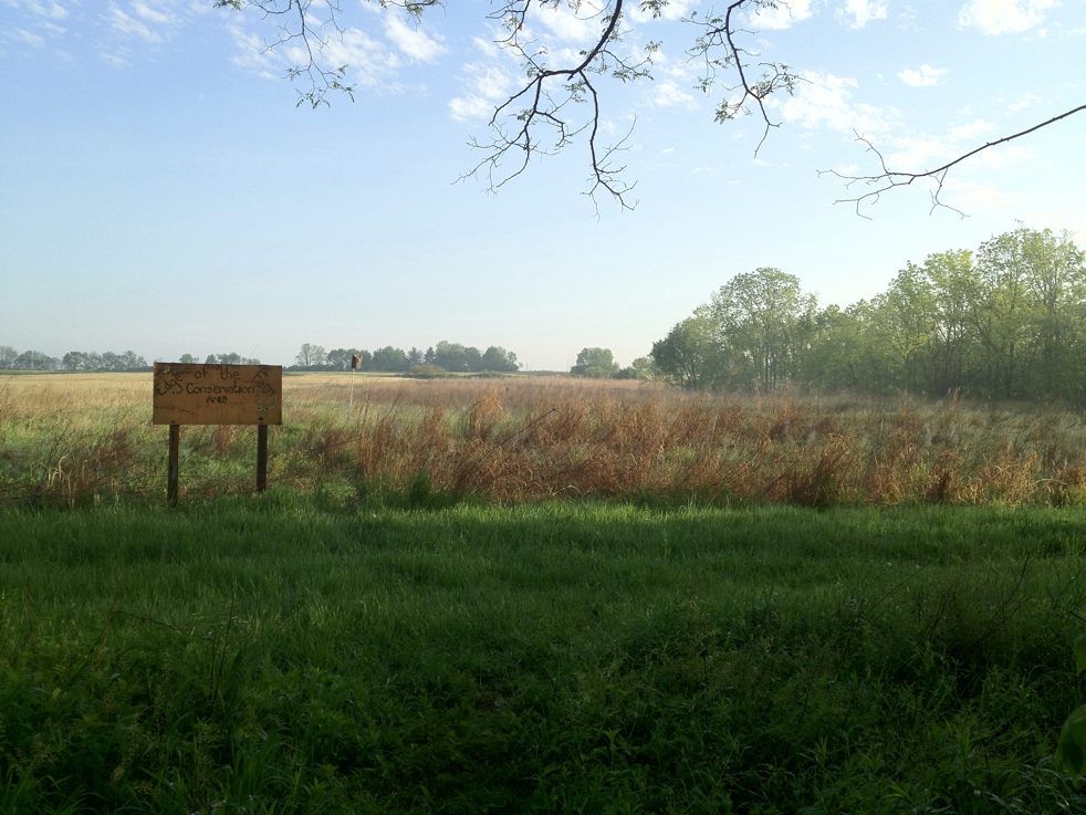 Full Size Image = 6027 K