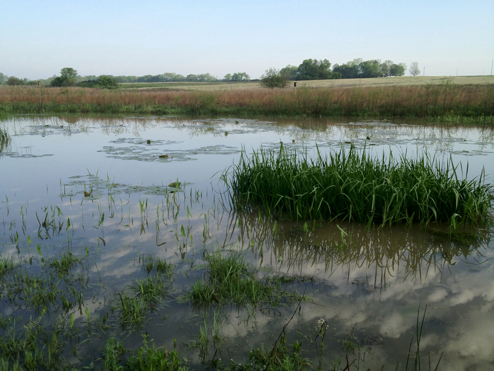 Full Size Image = 5742 K