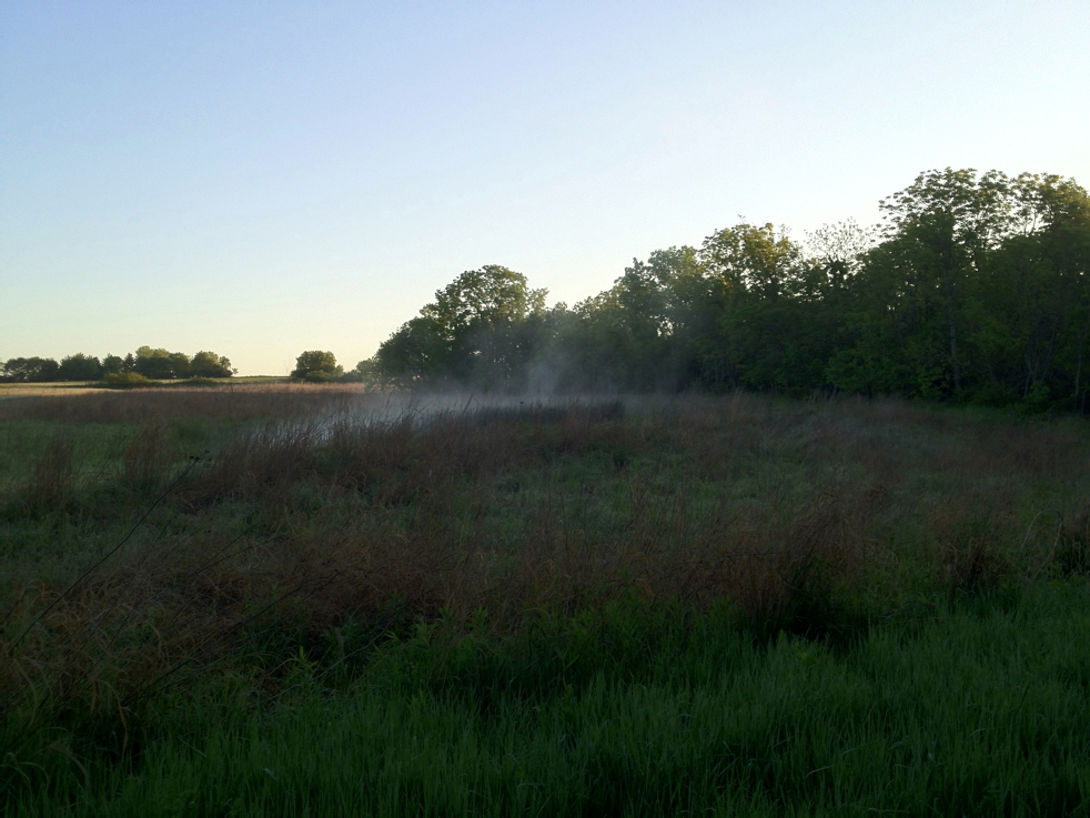 Full Size Image = 4510 K